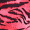 Fucsia fluo