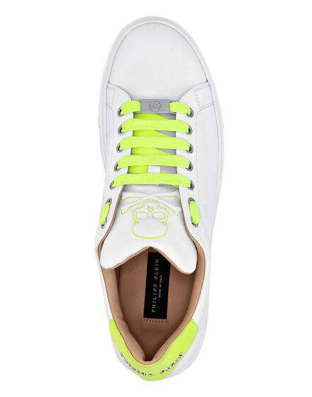 Leather Lo-Top Sneakers Skull and Plein